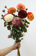 Floral Harmony Dahlia Bouquet